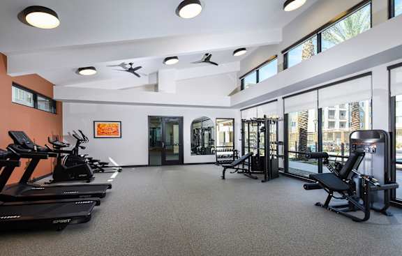 A gym with treadmills and exercise machines.