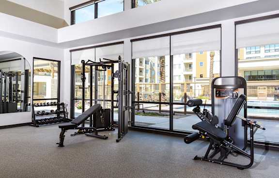 A gym with a row of mirrors and a row of dumbbells.