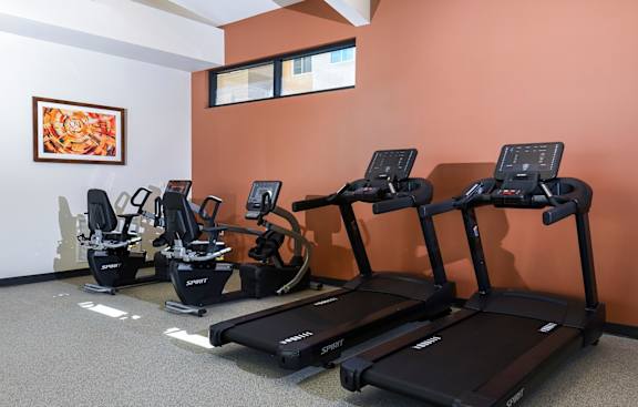 A gym with treadmills and elliptical machines.