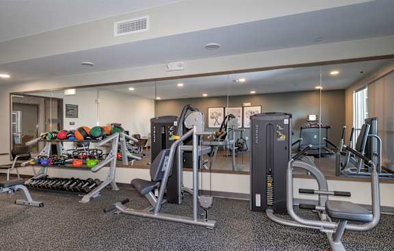 A gym with a variety of equipment including a treadmill, weights, and a bench press.