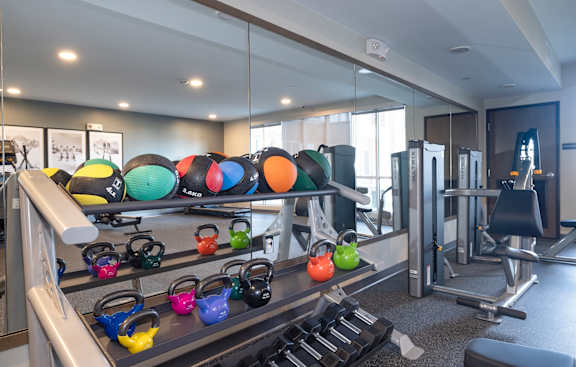 A gym with a variety of equipment including kettlebells, dumbbells, and weight plates.