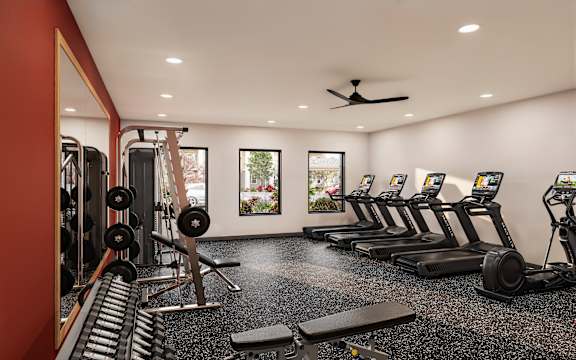 A gym with treadmills, weights, and a fan.
