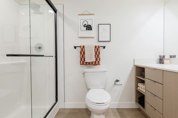 A white toilet in a bathroom with a white shower and a white cabinet.