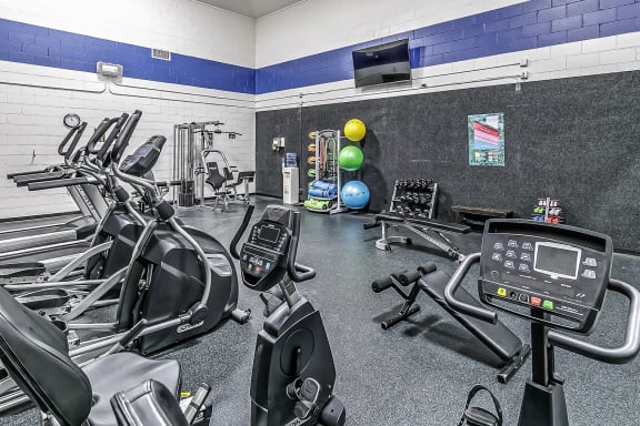 a gym with cardio equipment and weights on the floor
