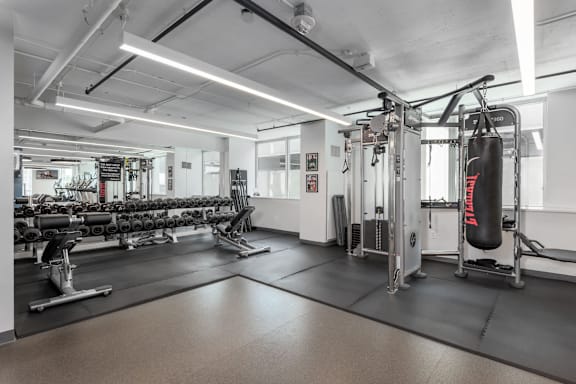 A gym with a punching bag and weightlifting equipment at Clayton on the Park Apartments, Clayton, MO, 63105