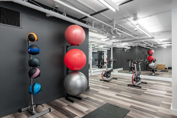 A gym with a variety of exercise balls and equipment at Clayton on the Park Apartments, Clayton