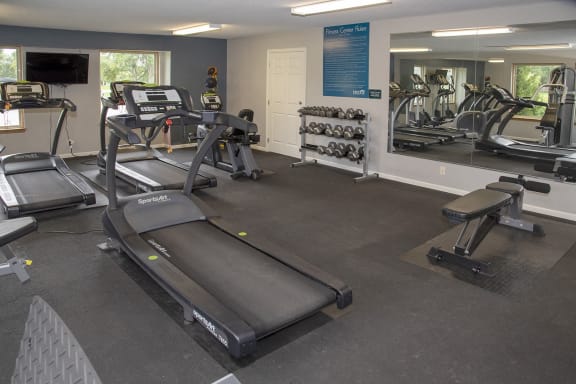 a state of the art gym with cardio equipment and mirrors