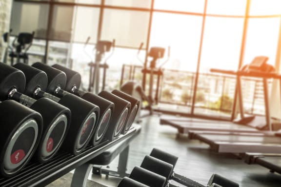 a row of dumbbells on a rack in a gym