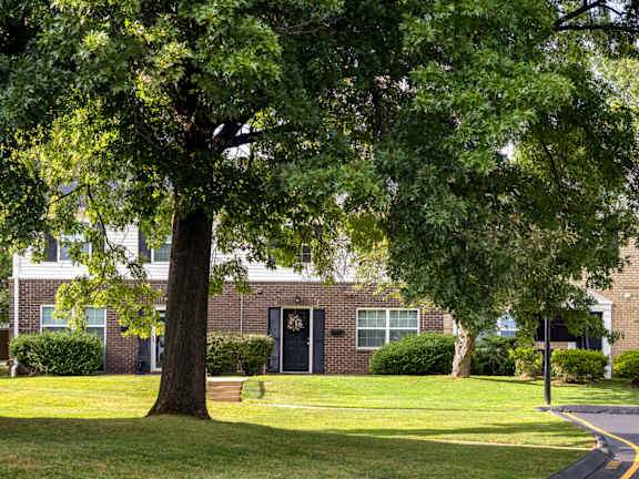 A tree in front of a building with a black door.