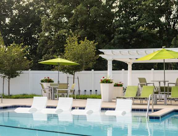 A pool with chairs and umbrellas is surrounded by trees.