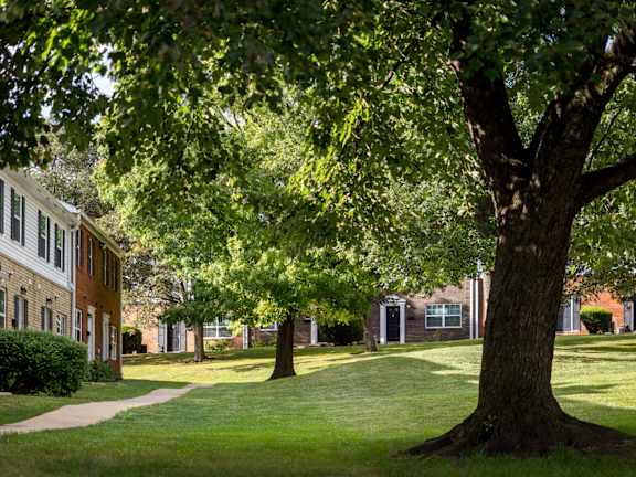 A tree in a grassy area in front of a building.
