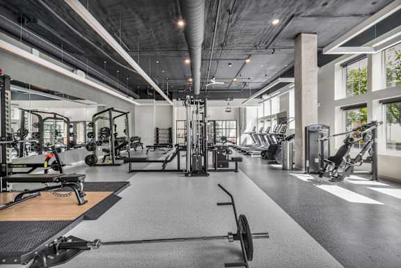 A spacious gym with a variety of equipment.