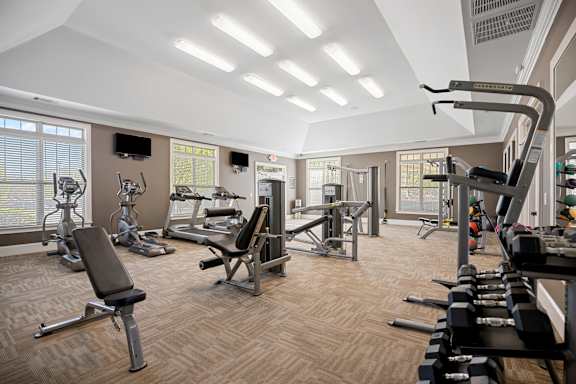 A well-equipped gym with a variety of exercise machines and weights.