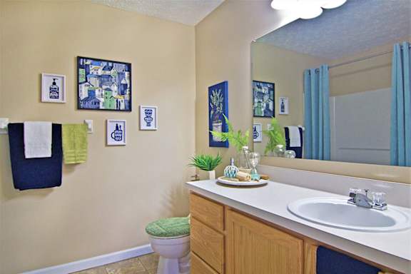 A bathroom with a toilet, sink, and a mirror.
