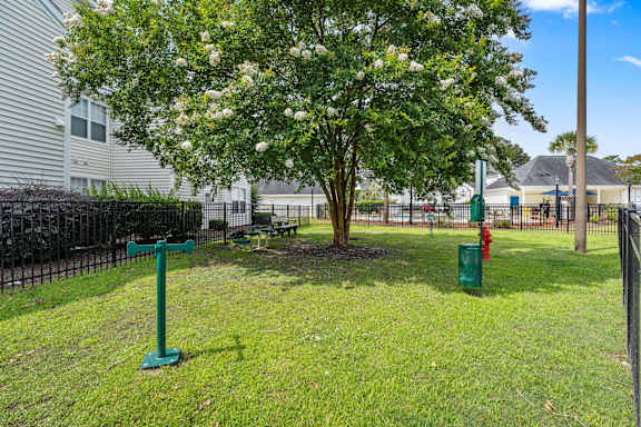 A green post in a grassy area with a tree and a fence in the background.