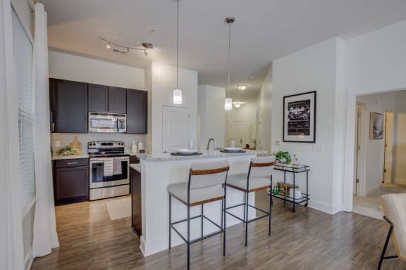 Modern Kitchen at The Lincoln Apartments in Raleigh, North Carolina, 27601