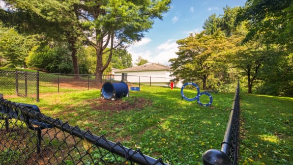 Pet Park at The Everett Apartments , Virginia, 24018