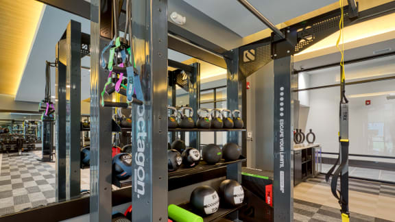 a gym with weights and other gym equipment on display at Aura Stonebridge, Richmond, VA