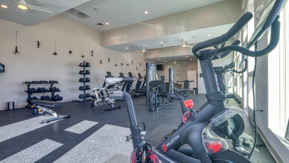 a gym with treadmills and other exercise equipment in a building with windows at The View at Blue Ridge in Roanoke, VA 24017