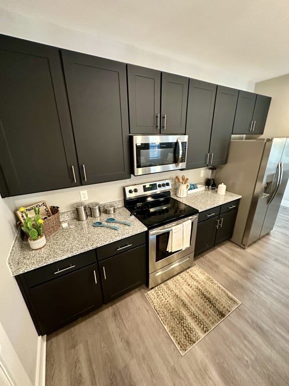 a kitchen with black cabinets and stainless steel appliances at Barclay Place Apartments, Wilmington, 28412