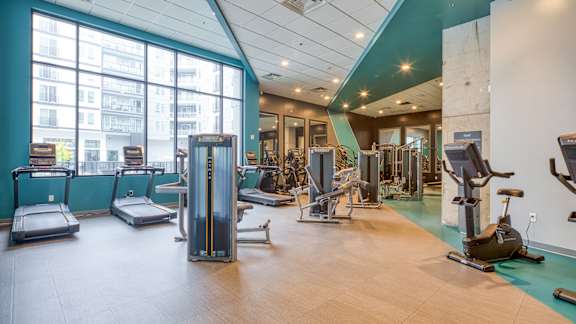 A gym with treadmills, elliptical machines, and other exercise equipment.