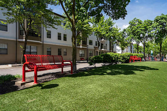 A red bench sits in the middle of a grassy area.