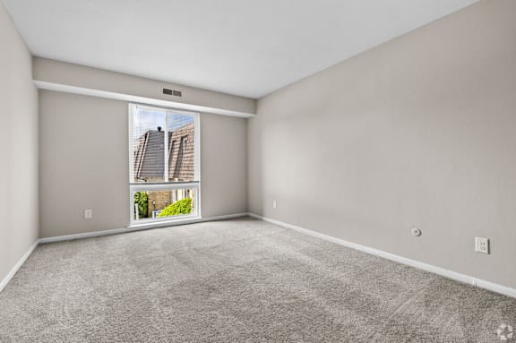 Carpeted Living Area at Bayville Apartments, Virginia Beach, Virginia