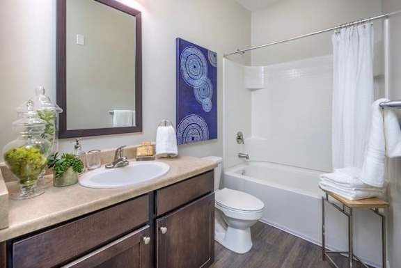 A bathroom with a white toilet, a sink, a mirror, a shower curtain, and a painting on the wall.