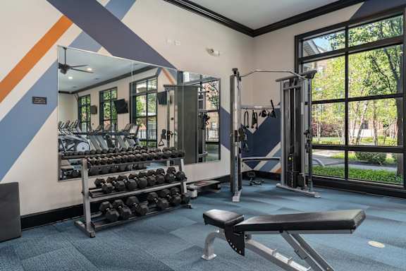 A gym with a bench, weights, and exercise equipment.