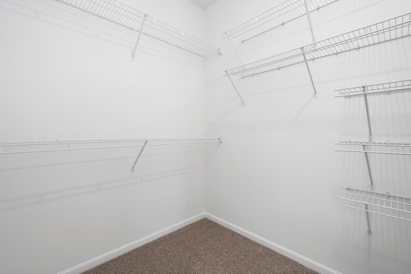 Walk-in Closet at The Farms in Columbus, 43221