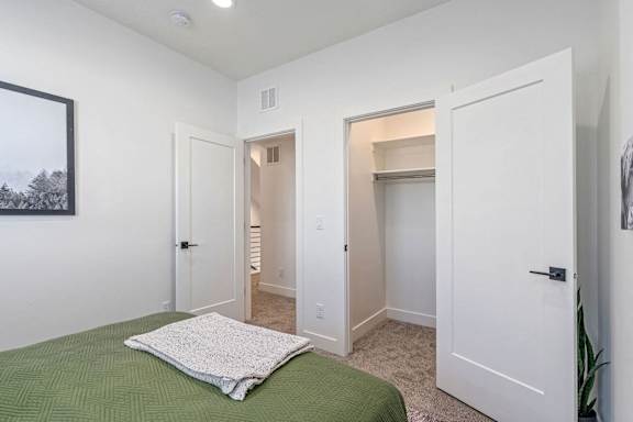 a bedroom with a bed and a closet