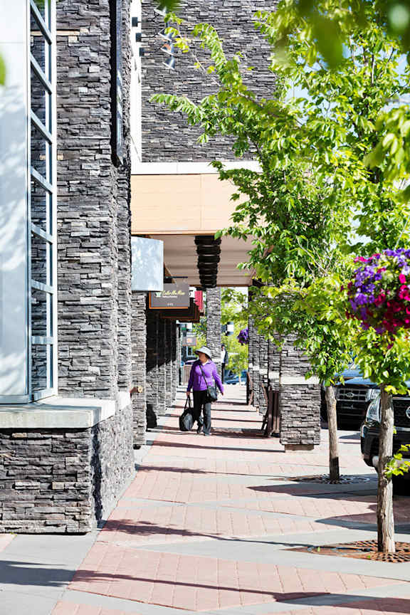 A woman in a purple jacket walks her dog on a sunny day.