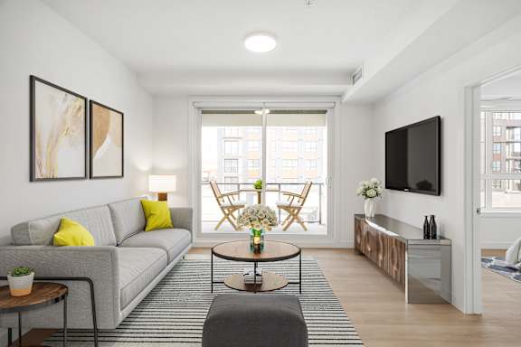 A modern living room with a grey sofa, a coffee table, and a flat screen TV.