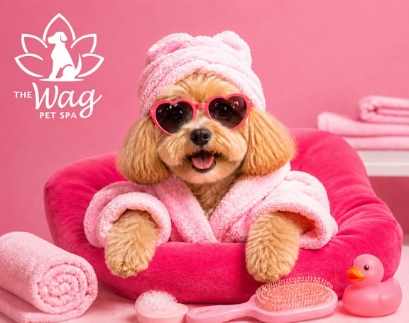 A dog is sitting on a pink chair with a pink towel and a pink rubber duck.