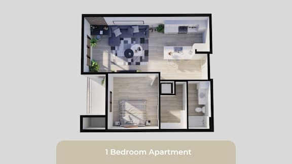 A 1 Bedroom Apartment layout with a kitchen, living room, and bathroom.