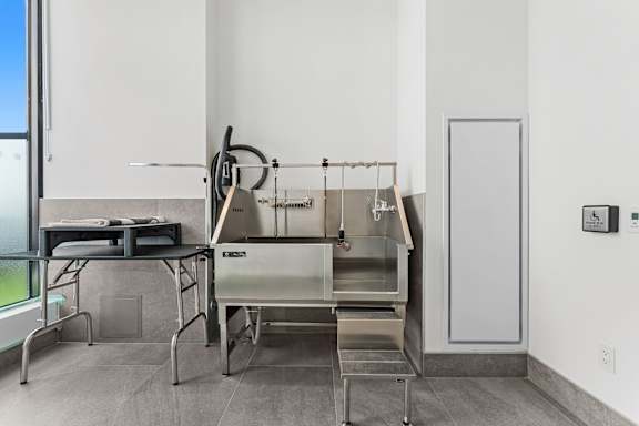 A kitchen with a stainless steel sink and a dishwasher.