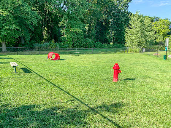 Dog park