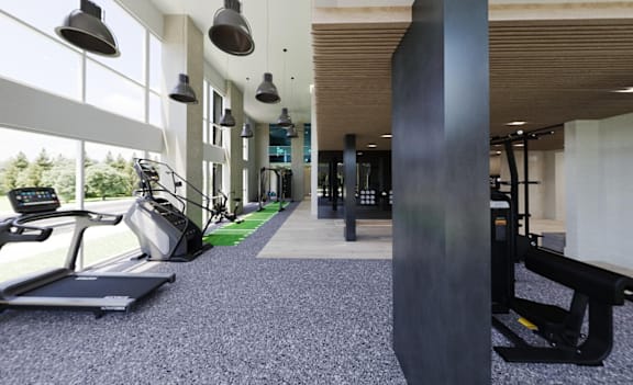 A gym with treadmills, elliptical machines and other exercise equipment.