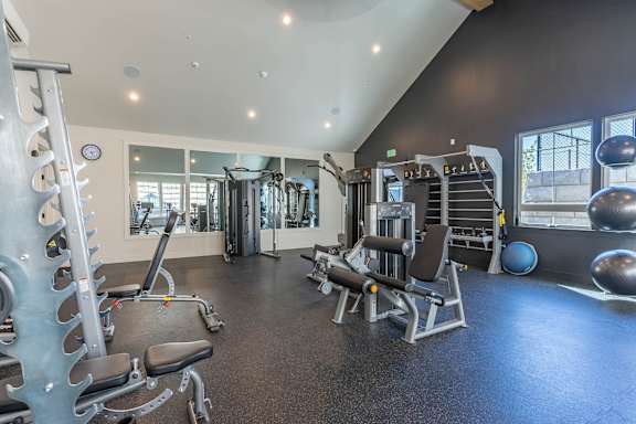 A gym with a variety of equipment including a leg press machine, a chest press machine, a leg curl machine, a leg extension machine, a squat rack, a bench press, a barbell, a medicine ball, a