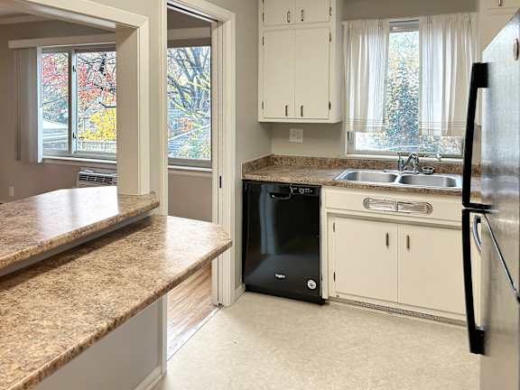 A kitchen with a black dishwasher and a black refrigerator.