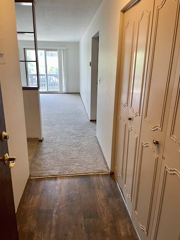 A hallway with a carpeted floor and a closed door with a handle.