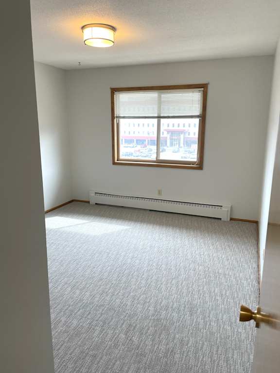 A room with a carpeted floor, a window with blinds, a radiator, and a door with a gold handle.