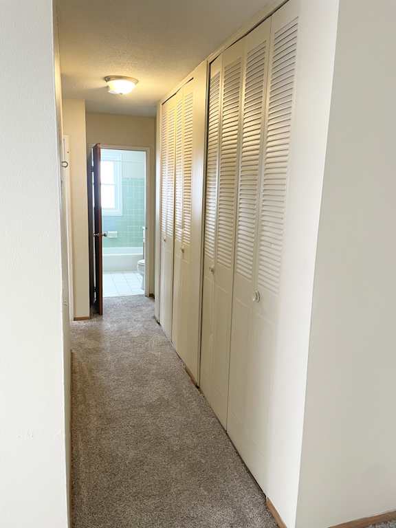 A hallway with white doors and carpeted floor.