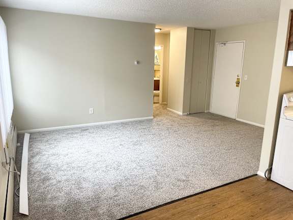 A room with a grey carpet and a white door.