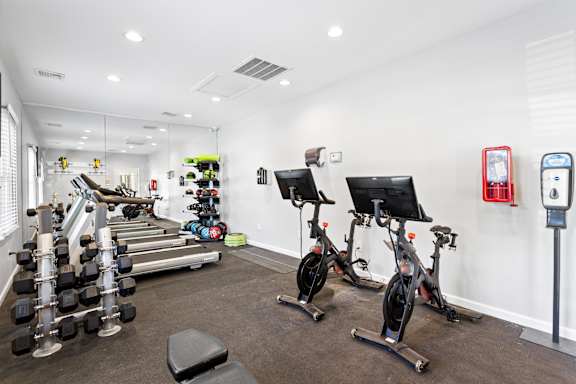 A gym with a row of stationary bikes, dumbbells, and exercise equipment.
