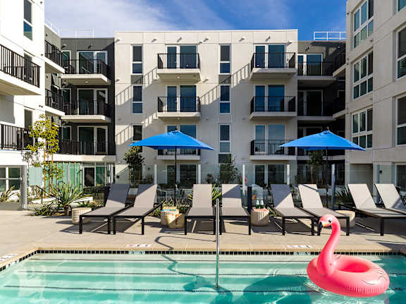 A pool with a pink flamingo float in the middle of it.
