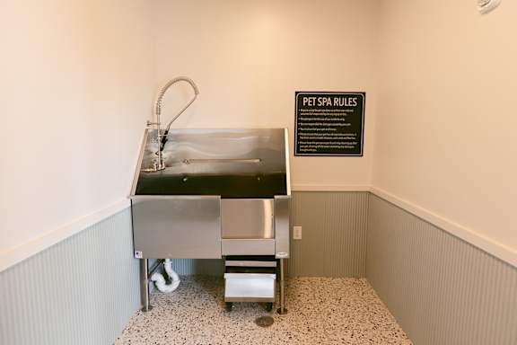 Pet Spa at The Mitchell , Georgia