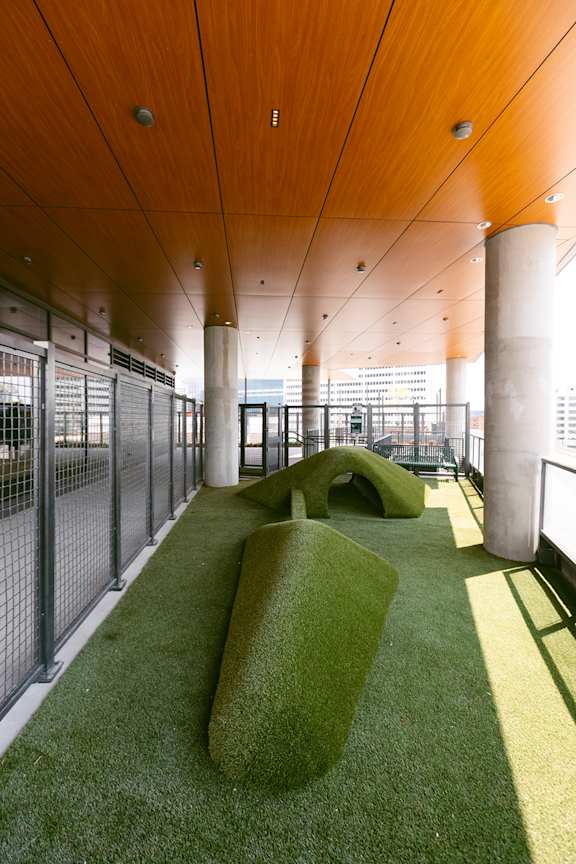 Rooftop Dog Park at The Mitchell , Georgia, 30303