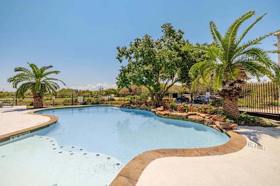 A large outdoor swimming pool surrounded by palm trees and a fence.