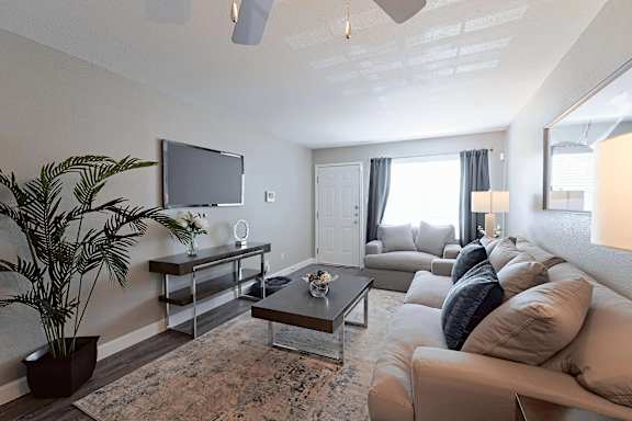 A living room with a couch, a television, and a potted plant.